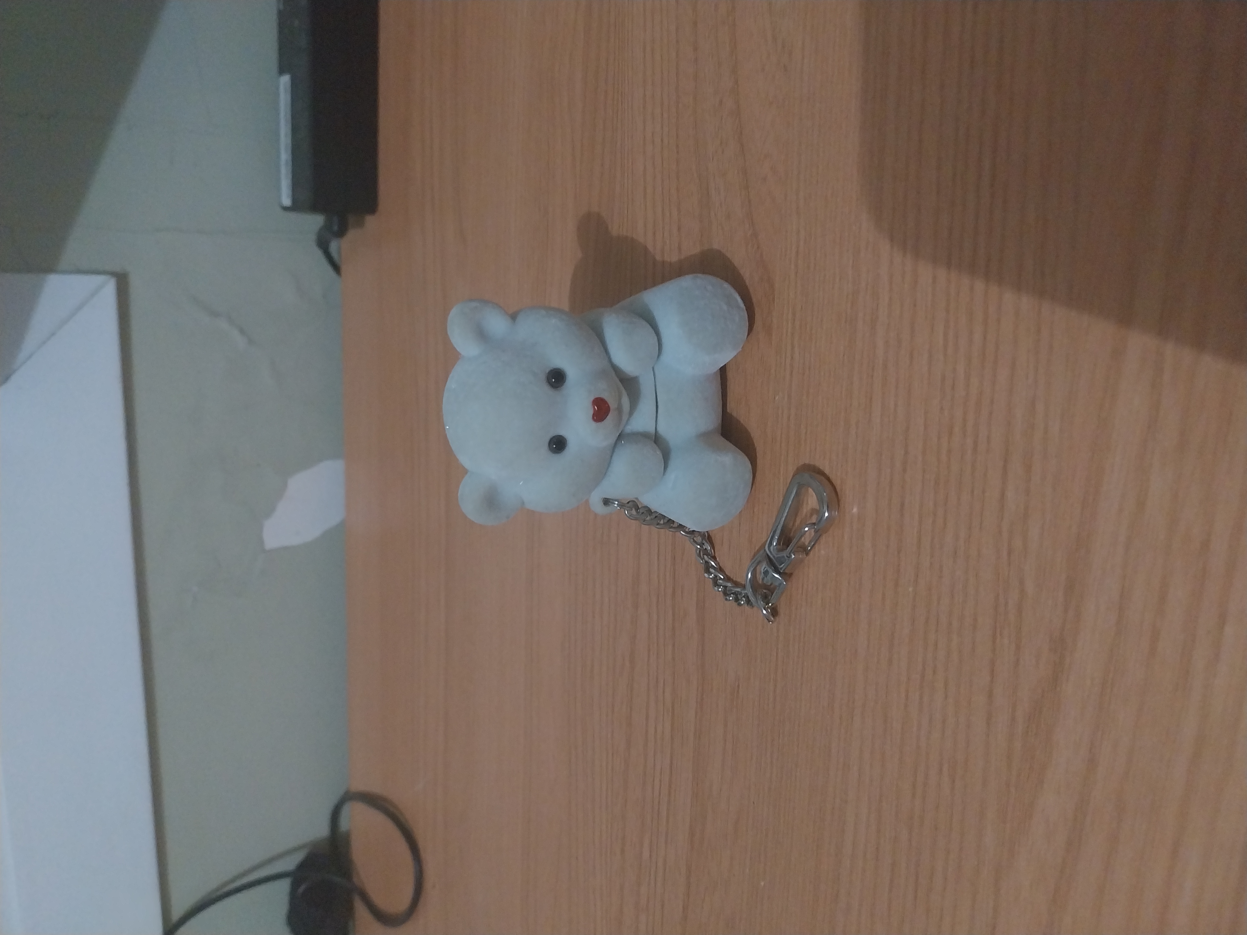 Oso Coccoloti con anillo.