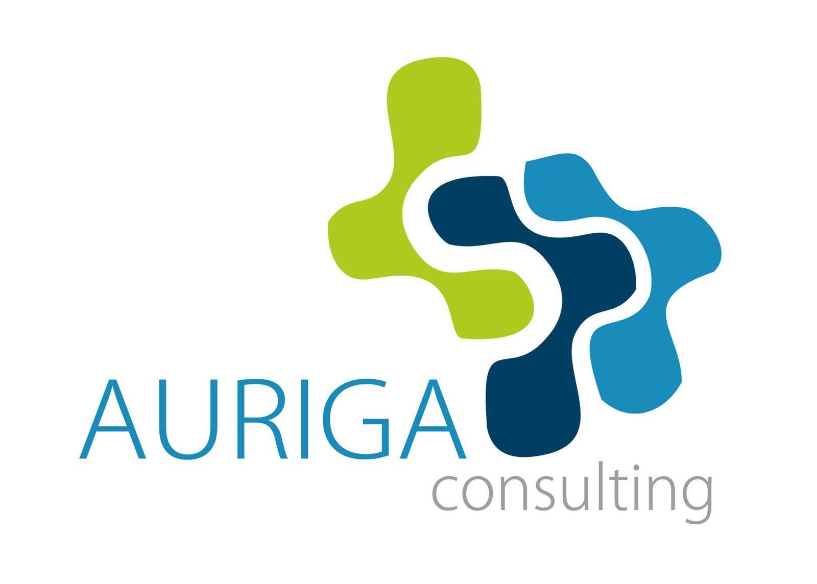 Logo de AURIGA CONSULTING