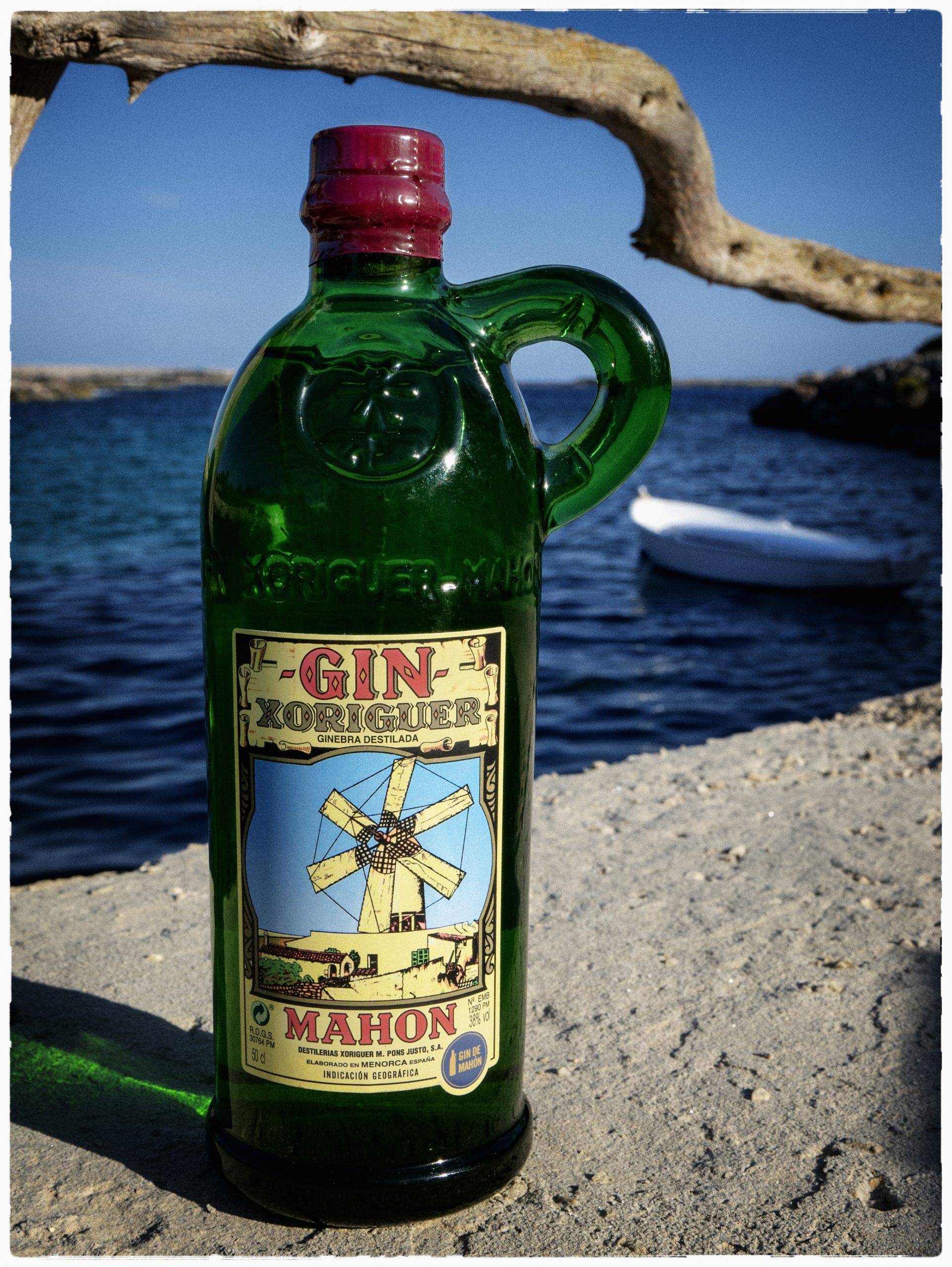 Logo de Gin Xoriguer